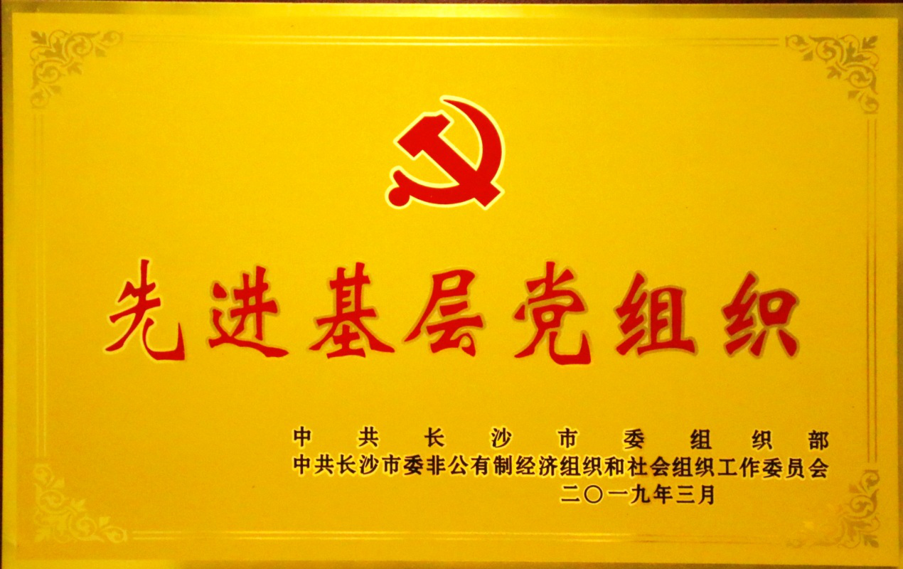 兩爭一創(chuàng)引領(lǐng)，五化建設(shè)保障，黨支部榮獲長沙市“先進(jìn)基層黨組織”稱號